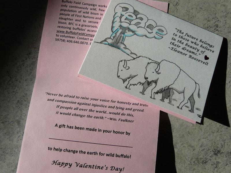 2017 01 30 01 001 Valentine800