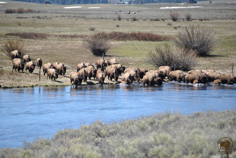 2017 05 11 01 001 haze 3seay800