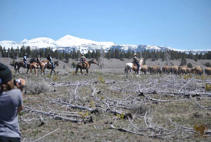 2017 05 11 01 002 haze10seay800