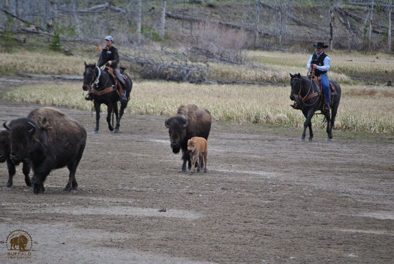 2017 05 11 01 003 haze5 10seay800