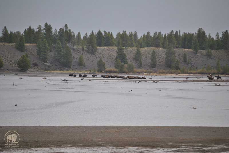 2017 05 11 01 004 haze17seay800