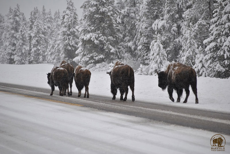 2017 11 16 02 001 Update 800