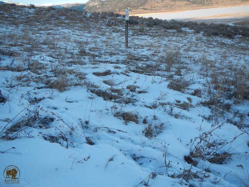 2017 12 14 01 003 Update3 BFCspates2017 800