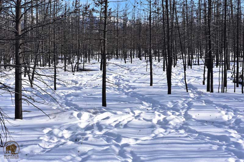 2017 12 14 01 005 Update5 BFCseay2017 800