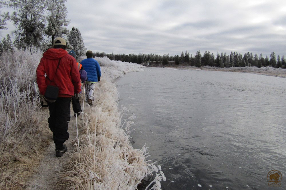 2019 11 28 01 001 Update 1 BFC Frances Buchanan photo