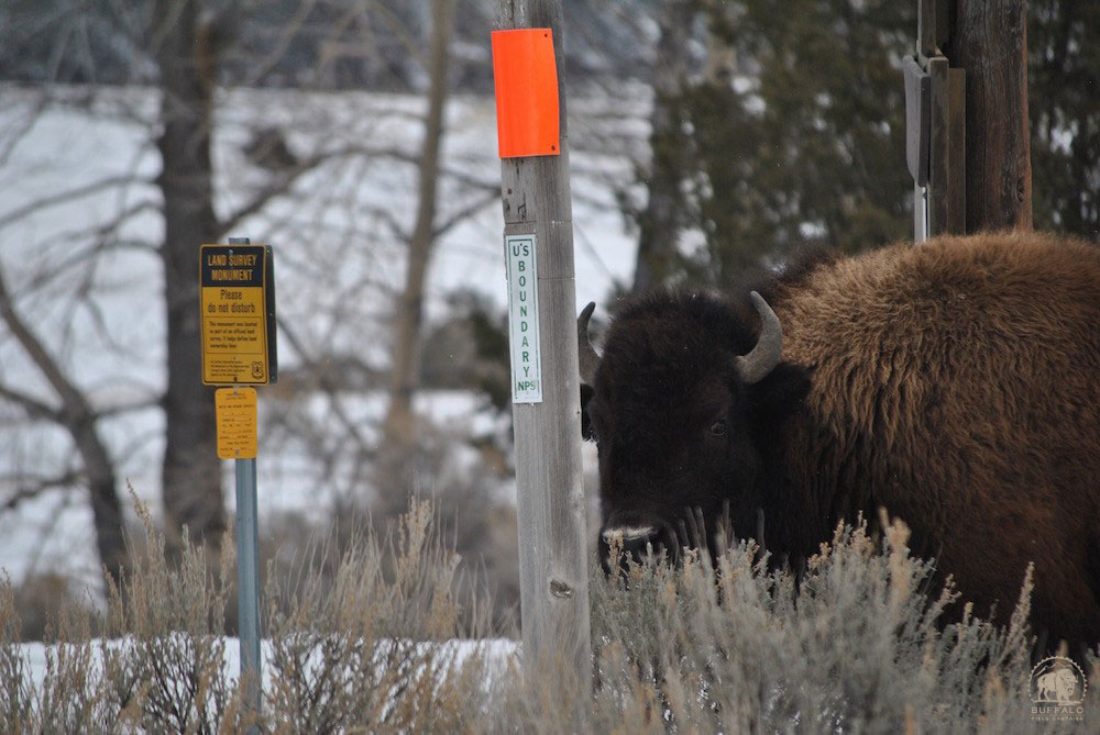 2019 11 28 01 002 Update 2 BFC Stephany Seay photo