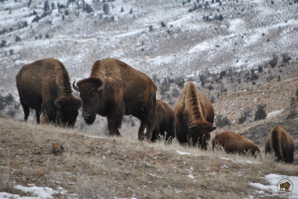 2019 11 28 01 003 Update 3 BFC Stephany Seay photo