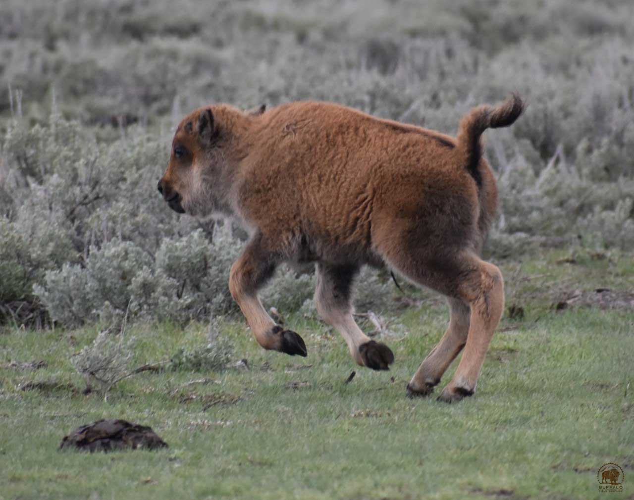 2020 04 16 01 004 Update 4 BFC Stephany Seay photo