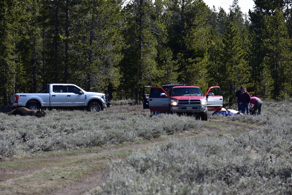 2020 05 07 01 004 Update 4 BFC Stephany Seay photo