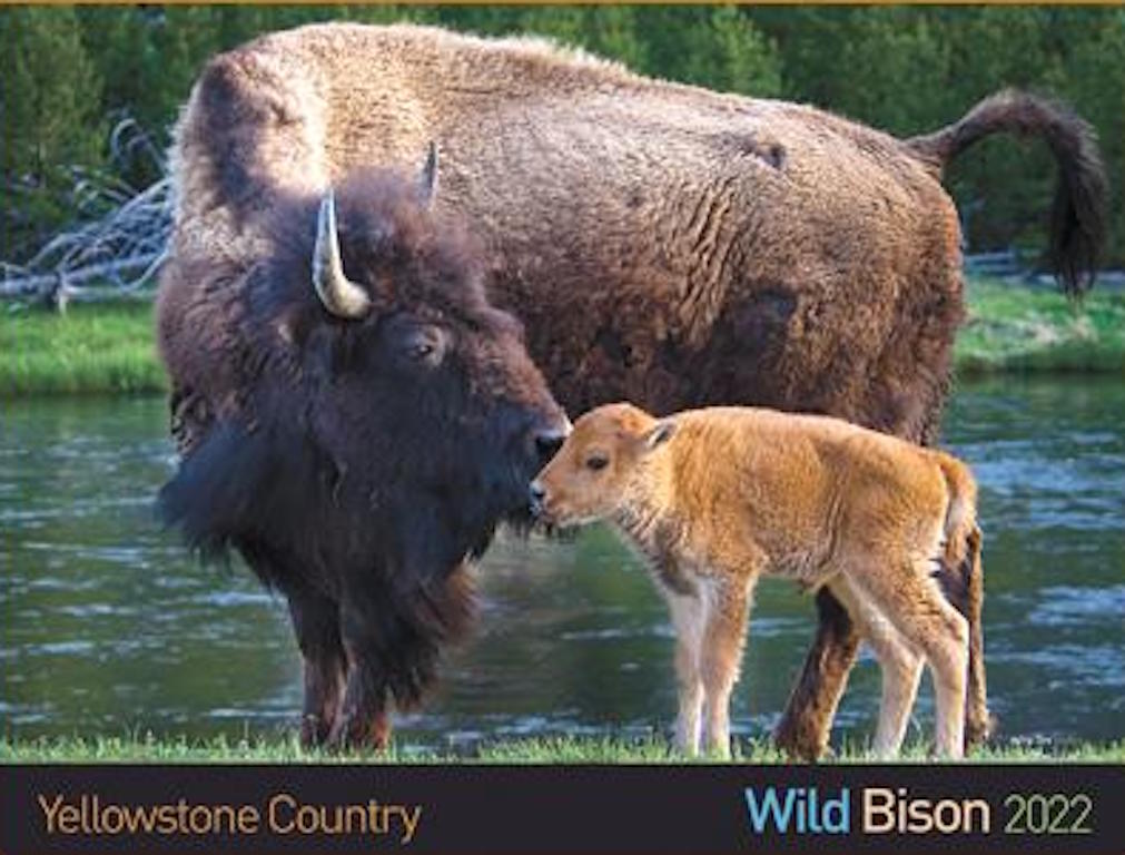 2021 07 10 01 003 bfc calendar