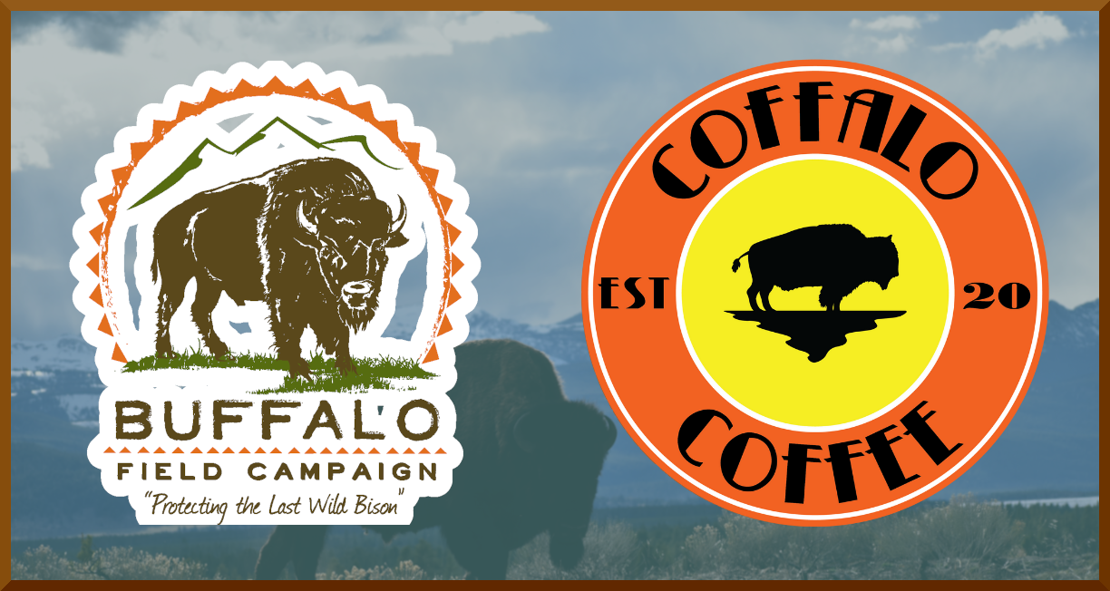 bfc buffalo brew Facebook Twitter Banner Announcement