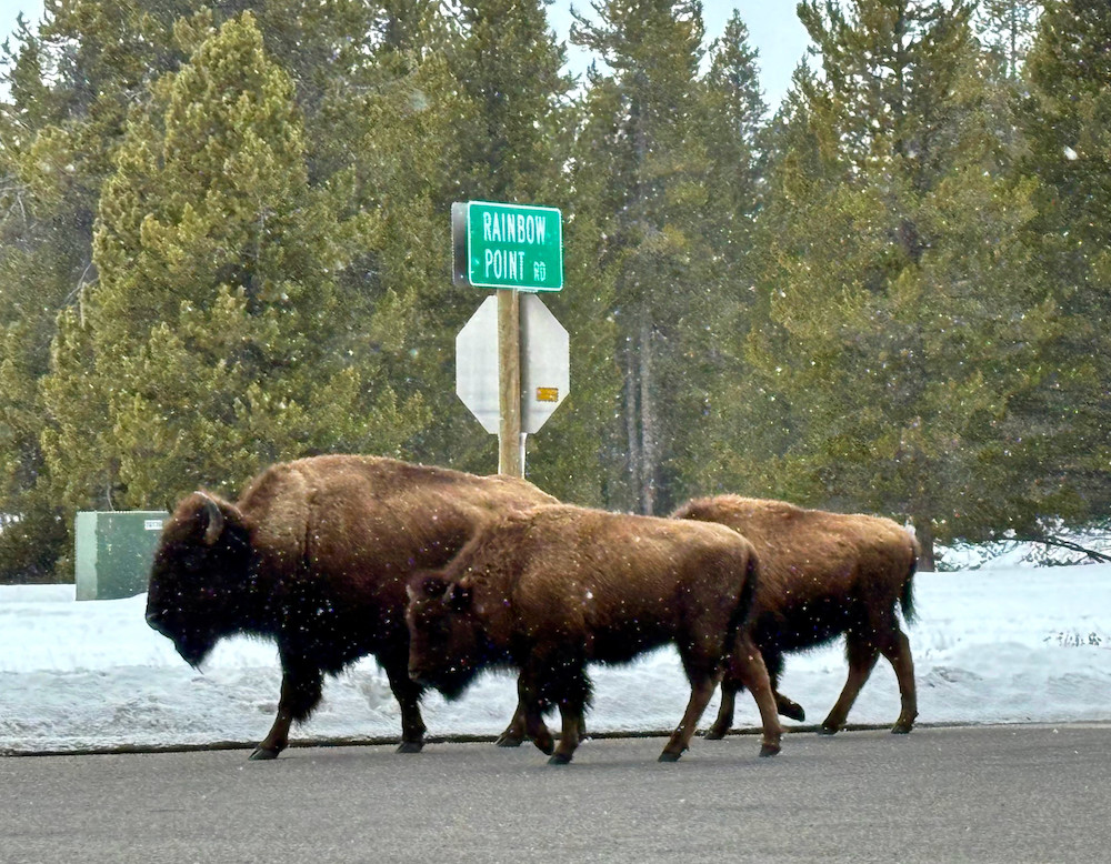 bfc update 2024 04 10 BFC visit March 27 6