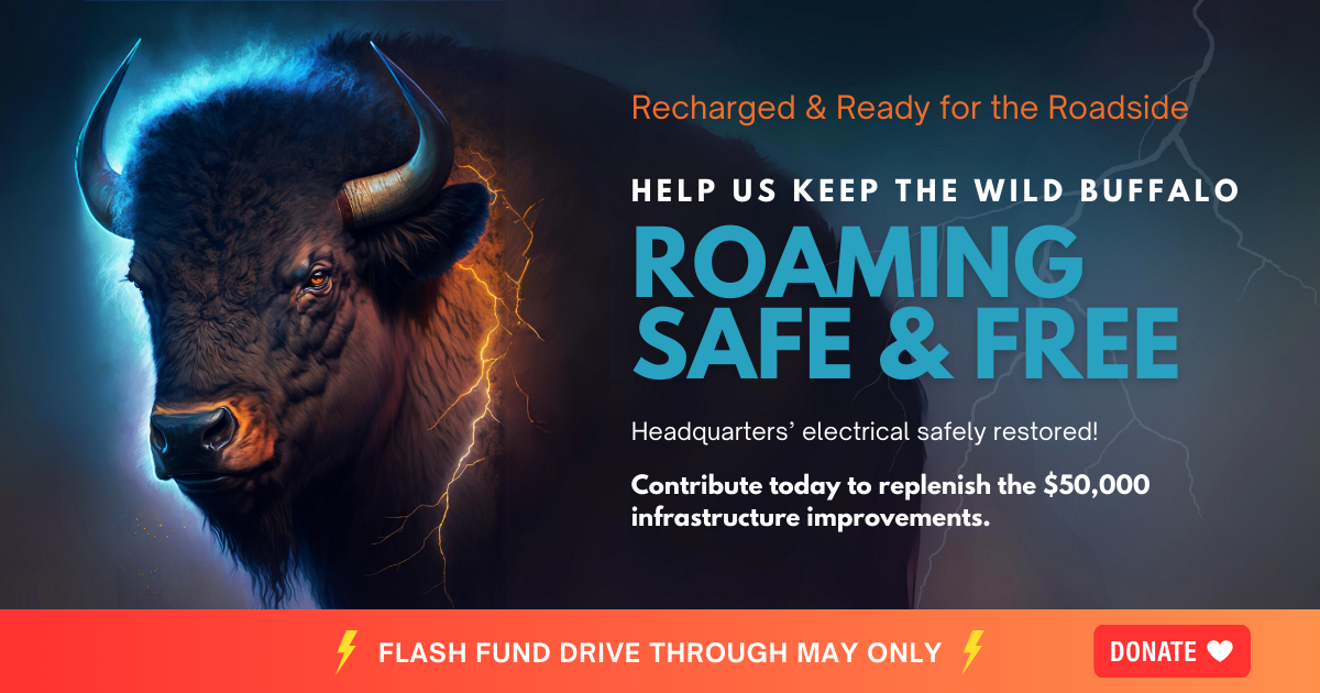 bfc recharged and ready for the roadside facebook