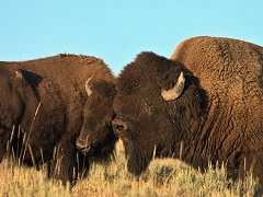 bfc facing the storm blog 04 20 23