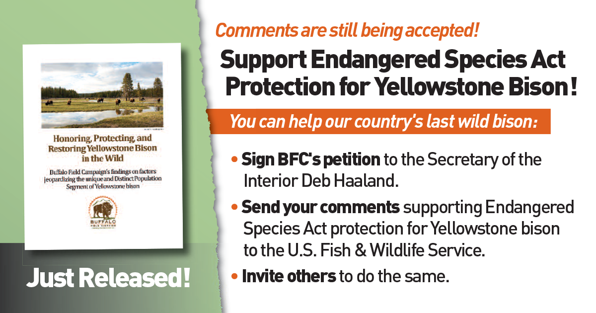 bfc esa website salsa june 2023